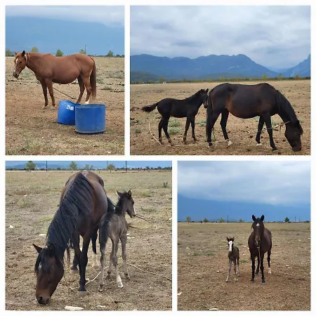 Countryside Ground Floor Дом отдыха