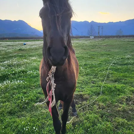 Дом отдыха Countryside Ground Floor