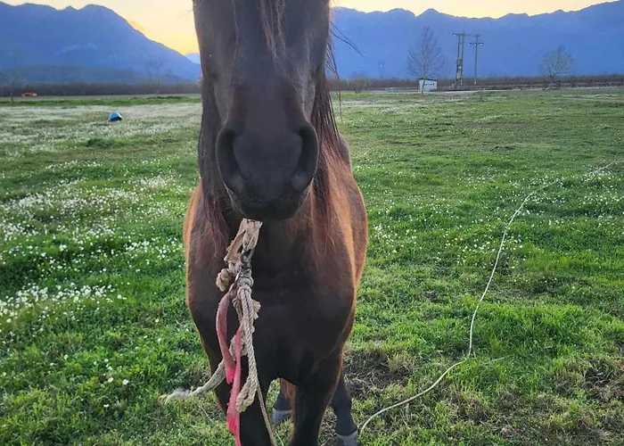 Vakantiehuis Countryside Ground Floor
