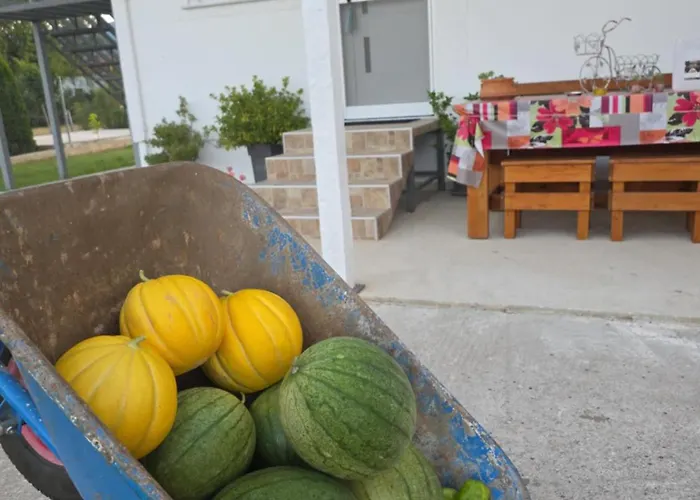 Vakantiehuis Countryside Ground Floor Gomfoi